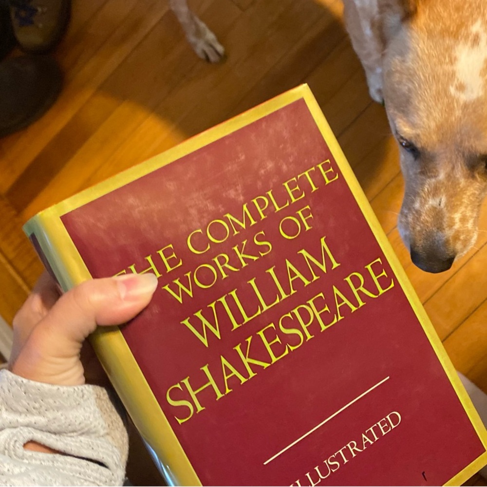 Classic William Shakespeare Illustrated Hardcover